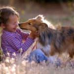 6 Ways Pets Can Help Your Family Cope With Divorce!
