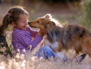 Pets help children cope with divorce